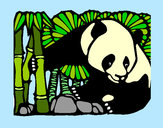Desenho Urso panda e bambu pintado por LEONARDOK