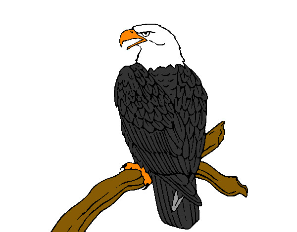 Desenho Águia num ramo pintado por rafa99