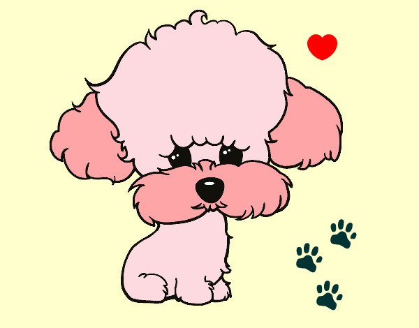 Desenho Cachorro de poodle pintado por Miku
