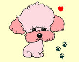 Desenho Cachorro de poodle pintado por Miku