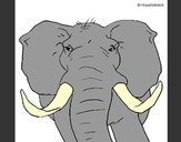 Desenho Elefante africano pintado por rafa99