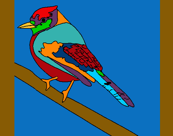 Desenho Pássaro tropical pintado por rafa99