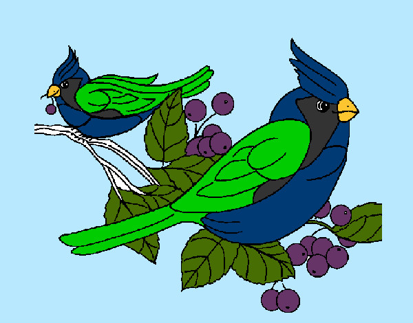 Desenho Pássaros pintado por rafa99