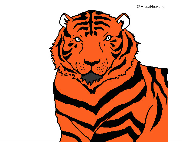 Desenho Tigre pintado por rafa99