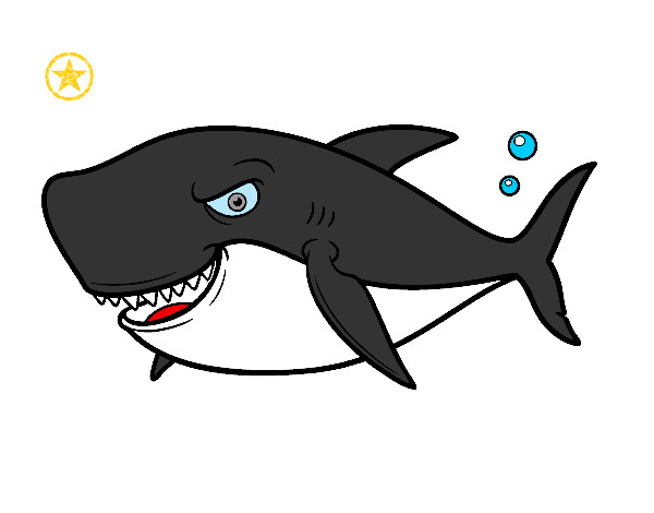 Desenho Tubarão dentuço pintado por Montenegro
