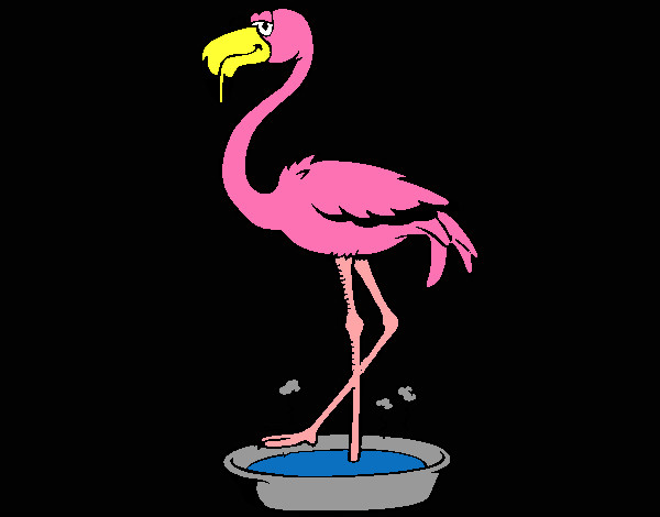 Desenho Flamingo com os pés de molho pintado por jhonatan9