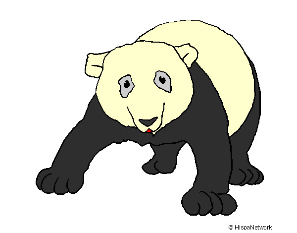 Desenho Urso panda pintado por beatrizmir