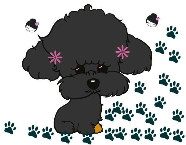 Desenho Cachorro de poodle pintado por luizfellip