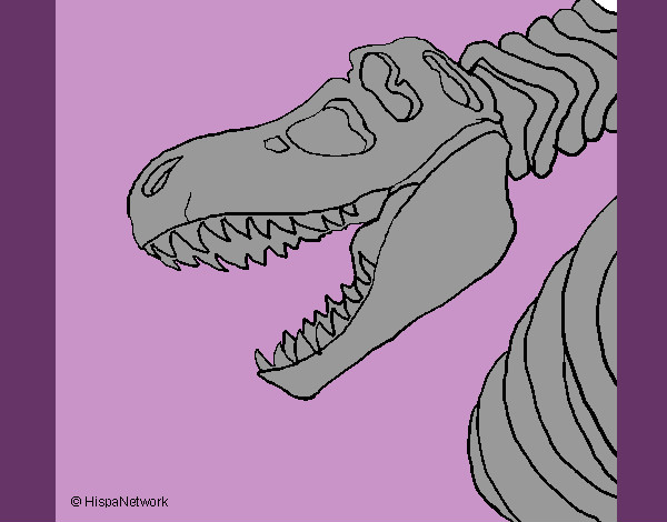 Desenho Esqueleto tiranossauro rex pintado por isad