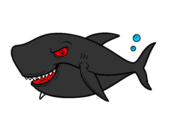 Desenho Tubarão dentuço pintado por isad