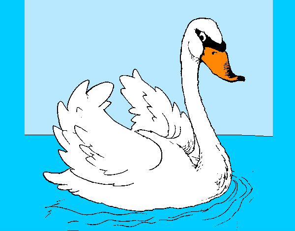 Desenho Cisne na água pintado por LYasser