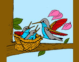 Desenho Familia colibrí pintado por Bhunna