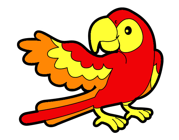 Desenho Papagaio abrir a asa pintado por LYasser