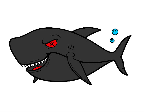 Desenho Tubarão dentuço pintado por LYasser