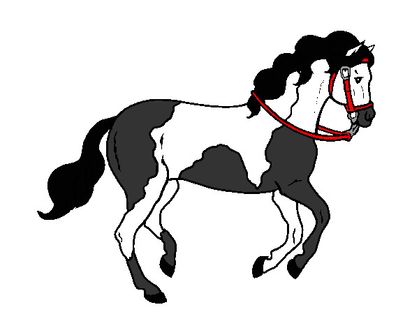 Desenho Cavalo 5 pintado por Lauana_zan