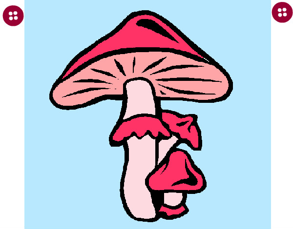Desenho Cogumelos pintado por LiliGumelo