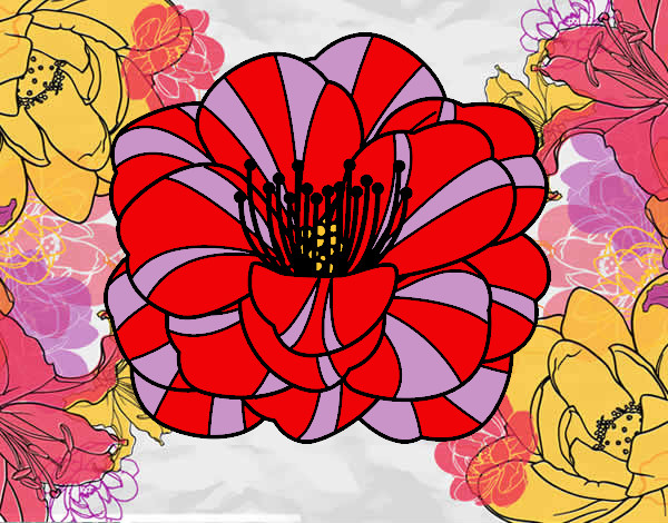Desenho Papoula flor pintado por Raila787
