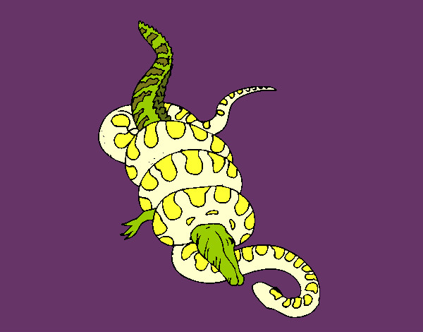 Desenho Anaconda e jacaré pintado por Vidafeliz