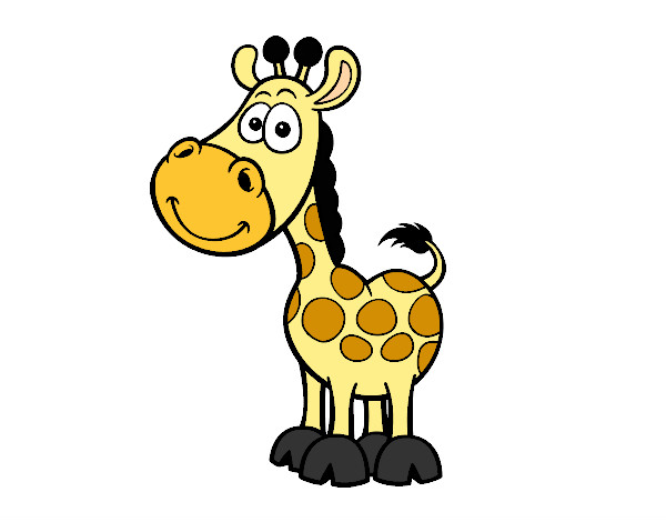 Girafa africana
