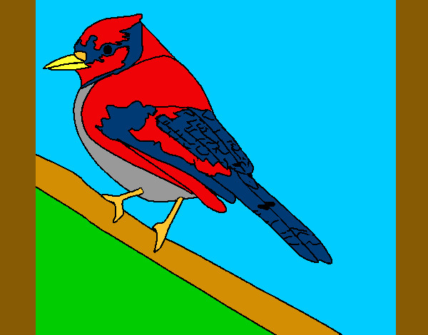 Desenho Pássaro tropical pintado por jooolru