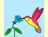 Desenho Colibri e uma flor pintado por AlexeyMota