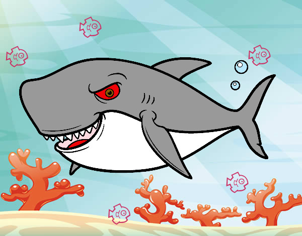 Desenho Tubarão dentuço pintado por jo2012