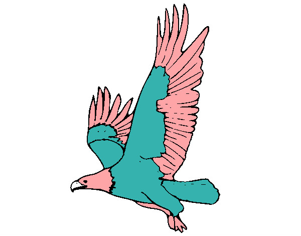 Desenho Águia a voar pintado por victoria5