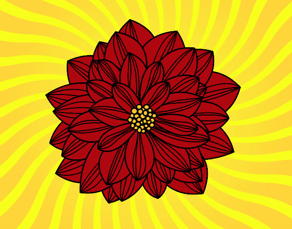 Desenho Flor de dahlia pintado por Alezimba