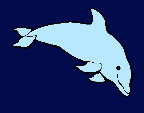 Desenho Golfinho contente pintado por luanaabreu