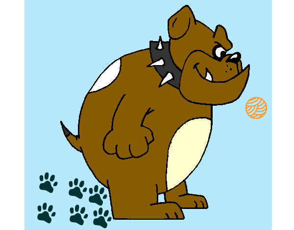 Desenho Bulldog inglês pintado por gyovanna