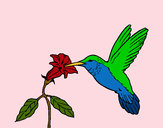 Desenho Colibri e uma flor pintado por anaclara_r