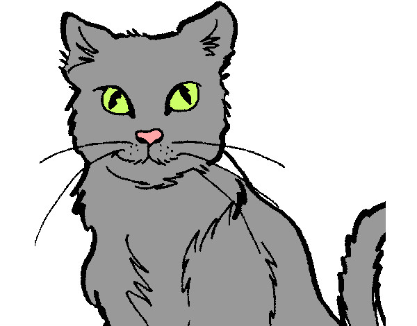 Desenho Gato pintado por anaclara_r