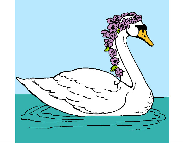 Desenho Cisne com flores pintado por TavinhoH