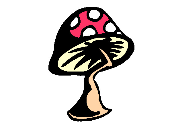 Desenho Cogumelo pintado por marcolego