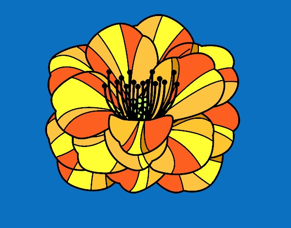 Desenho Papoula flor pintado por MParacampo