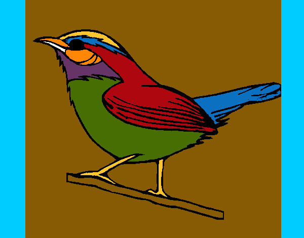 Desenho Pássaro silvestre pintado por Lelipe