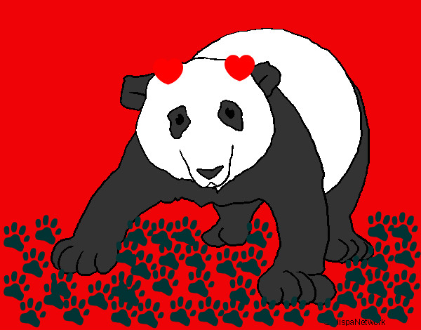 Desenho Urso panda pintado por SophiaSlo