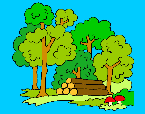 Desenho Bosque pintado por gismonti