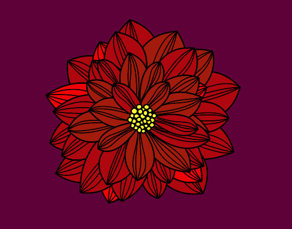 Desenho Flor de dahlia pintado por RegisAssun