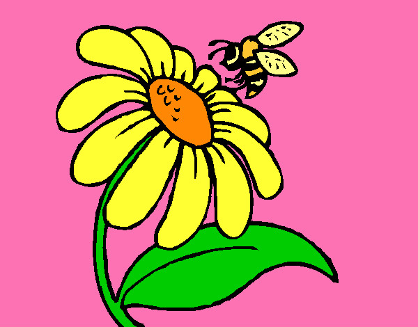 Desenho Margarida com abelha pintado por MParacampo