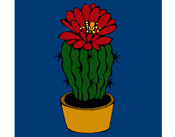 Desenho Cacto com flor pintado por RegisAssun
