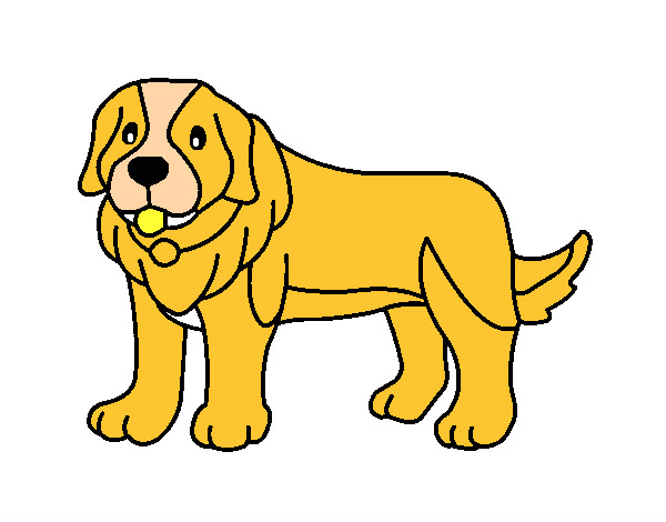 Desenho Cão pigmento pintado por guicambez