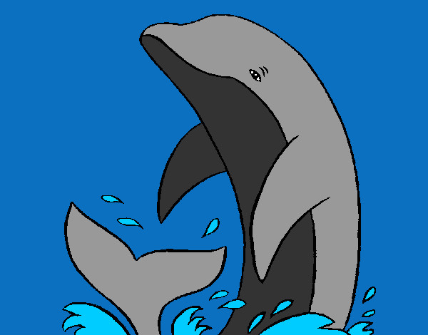 Desenho Salpicos golfinho pintado por Margarida2