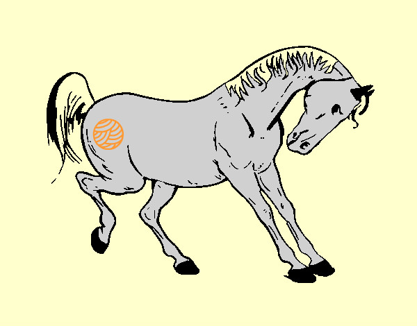 Desenho Cavalo a dançar pintado por italorocha