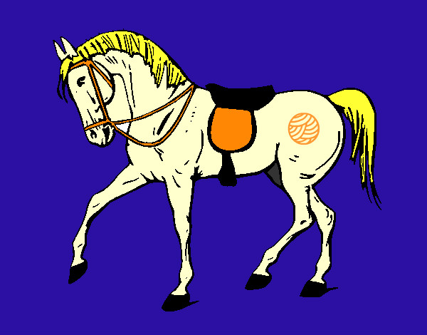 Cavalo de competição
