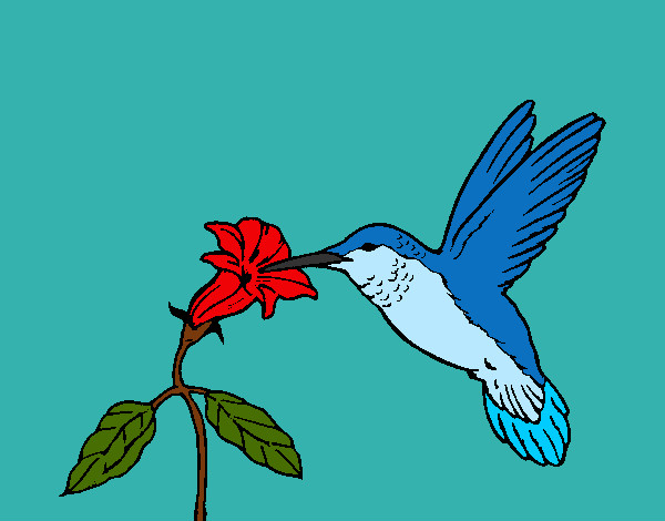 Desenho Colibri e uma flor pintado por acristina