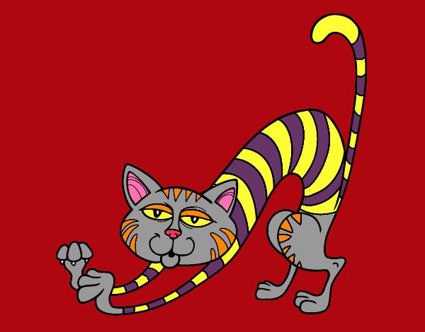 Desenho Gato por estiramento pintado por bbbb
