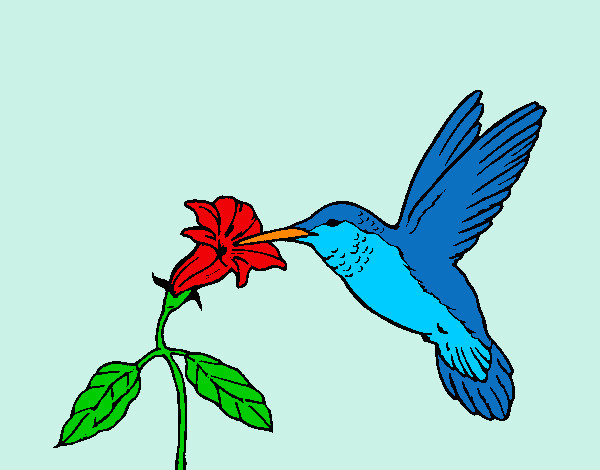 Desenho Colibri e uma flor pintado por daniel12