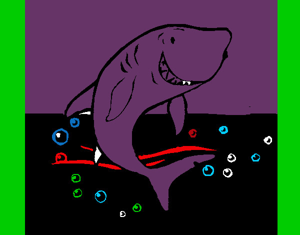 Desenho Tubarão pintado por VitoriaLi