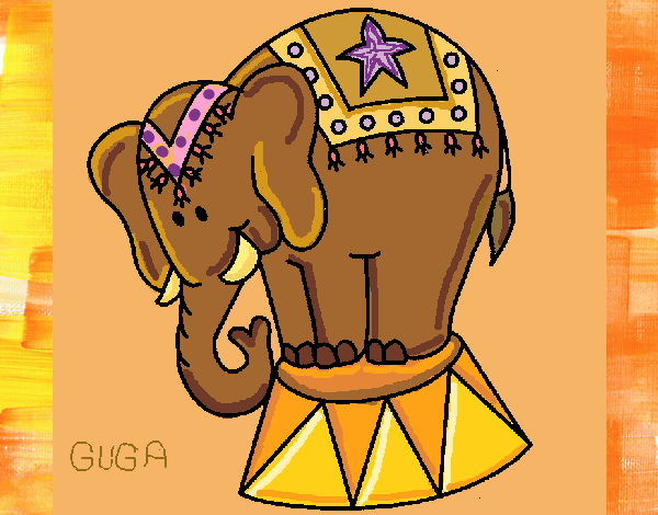 Desenho Elefante a actuar pintado por amauri